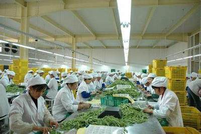 未來十年農業發展六大趨勢 專業化與多樣化并行，助力初級農產品銷售盈利與補貼提升