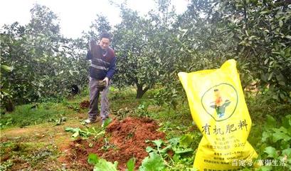 農業困境 農民在農產品銷售中缺失定價權