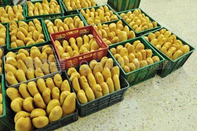 中國農產品批發網 初級農產品銷售的數字化橋梁與市場機遇